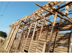 Nigeria Federal Government to build bamboo houses for low, medium income earners