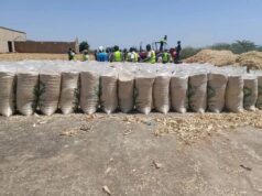 BARC Farms Project Records Bountiful Harvest Under Governor Mutfwang’s Youth Empowerment Initiative Img 7863