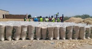 BARC Farms Project Records Bountiful Harvest Under Governor Mutfwang’s Youth Empowerment Initiative Img 7863