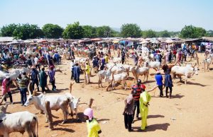 Hon. Pirfa Tyem Transforms Zamko Market with Solar-Powered Borehole, Security Fencing, and Modern Infrastructure 37bf1928 2b0f 4258 9587 8a5fe909c7b5