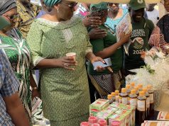 Made in Plateau Business Carnival Day 3 Showcases Over 400 Local MSMEs as Government Pushes for Annual Indigenous Innovation Fair Img 1176