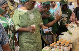 Made in Plateau Business Carnival Day 3 Showcases Over 400 Local MSMEs as Government Pushes for Annual Indigenous Innovation Fair Img 1176