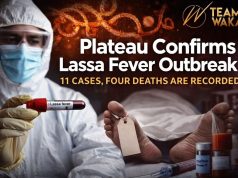 Plateau State Confirms Lassa Fever Outbreak as 11 Cases, Four Deaths Are Recorded B7b7fc72 8e2f 4bb7 b620 094b74e1a4b7