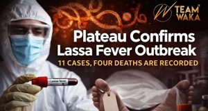 Plateau State Confirms Lassa Fever Outbreak as 11 Cases, Four Deaths Are Recorded B7b7fc72 8e2f 4bb7 b620 094b74e1a4b7
