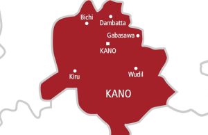 Mother of five newborns dies hours after giving birth in Kano hospital Kano map.jpg