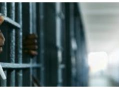 Borno High Court jails woman over trafficking Arrest Jail.jpg