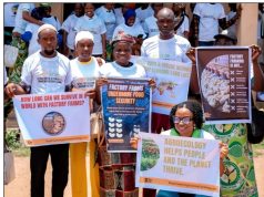 Civil society coalition calls for community-led agriculture, warns against factory farming 3 1.jpg