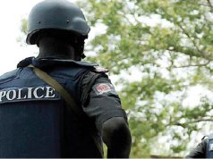Police nab two suspected cultists with arms in Edo A NIGERIAN POLICE OFFICER.jpg