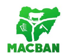 MACBAN condemns killing of pastoralists in Kogi, demands justice MACBAN miyetti Allah.jpg