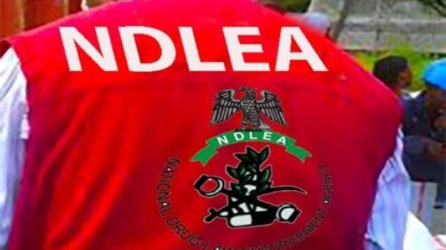 NDLEA 1.jpg