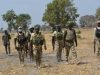 Troops recover 34 cattle after Plateau farm destruction incident Troops 1.jpeg