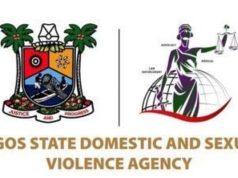 Lagos DSVA receives over 450 domestic violence complaints monthly Dsva BIG logo.jpg