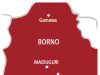 ISWAP fighter surrenders, hands over gun to troops in Borno Borno map.jpg