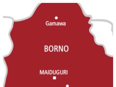 ISWAP fighter surrenders, hands over gun to troops in Borno Borno map.jpg