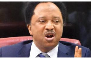 ‘It’s wrong’ – Shehu Sani reacts as Senate declares Mele Kyari wanted Shehu sani.jpg