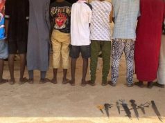 Adamawa police operatives arrest 11 suspected Shilla gang members Adamawa police.jpg