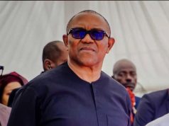 2027: ‘Is Tinubu going for boxing’ Peter Obi 1.jpeg