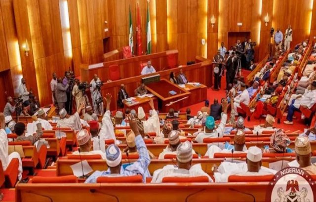 Senate-Nigeria-2.jpg Senate Nigeria 2.jpg