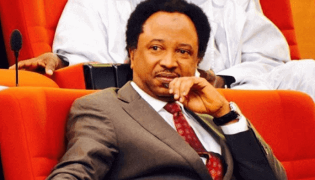 Senator Shehu Sani.png
