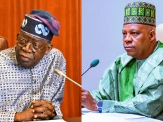 Seyi more powerful than Shettima under Tinubu Tinubu Shettima.jpg