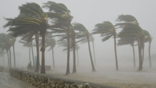 Windstorm .jpg