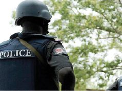 Police dismantle bandit camps in Kaduna A NIGERIAN POLICE OFFICER.jpg