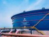 Dangote Refinery IPO: Iledare reveals what investors will gain as $5bn Africa’s largest offer nears DANGOTE REFINERY 1.jpg