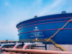Dangote Refinery IPO: Iledare reveals what investors will gain as $5bn Africa’s largest offer nears DANGOTE REFINERY 1.jpg