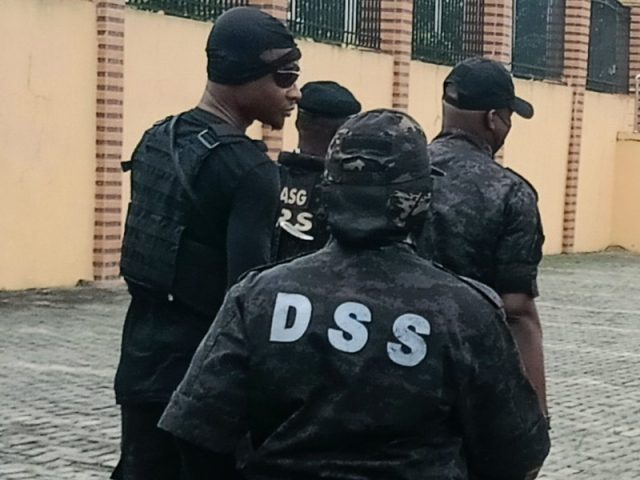 DSS 1.jpg