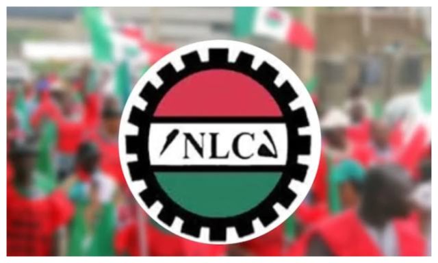 NLC.jpg NLC.jpg