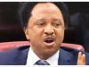 Atiku, Obasanjo’s fight will continue until one of them dies Shehu sani.jpg