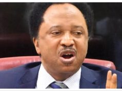 Atiku, Obasanjo’s fight will continue until one of them dies Shehu sani.jpg