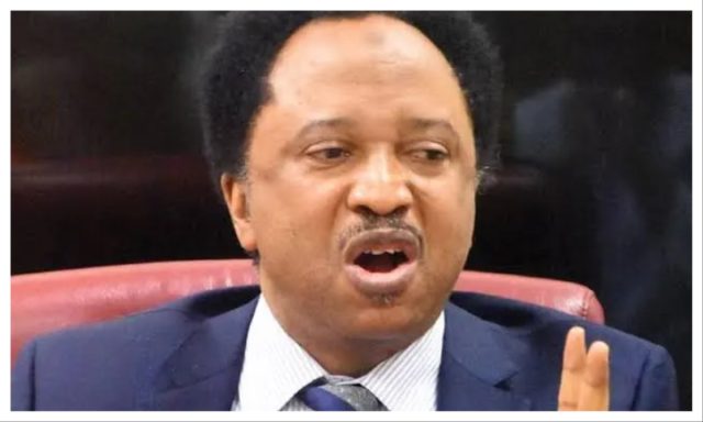 Shehu sani.jpg