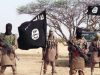 ISWAP suffers major blow as 3 commanders, 22 fighters reportedly dead in Borno Pjimage 38.jpg