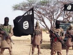 ISWAP suffers major blow as 3 commanders, 22 fighters reportedly dead in Borno Pjimage 38.jpg