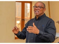 ‘We will bring back subsidy after tackling corruption’ Peter Obi.jpg