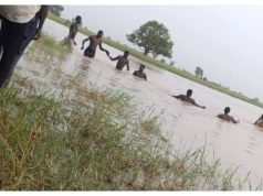 One child rescued, another missing after river incident in Yobe Yobe river.jpg