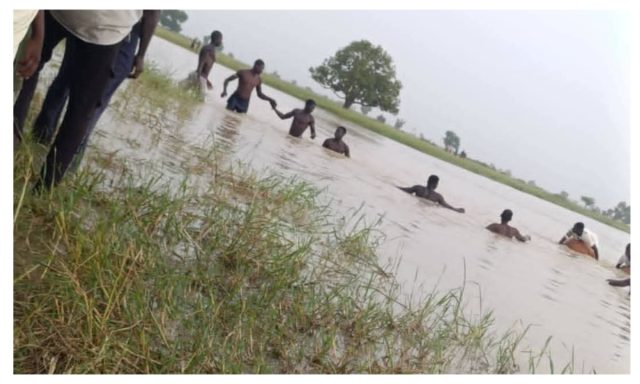 yobe-river.jpg Yobe river.jpg